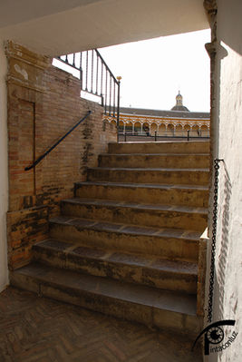 La plaza de toros de la Maestranza de Sevilla.
